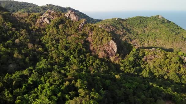 Jungles et montagnes de l'île tropicale. Vue par drone des jungles verdoyantes et des énormes rochers sur le terrain rocheux volcanique de l'île de Koh Tao par une journée ensoleillée en Thaïlande — Video