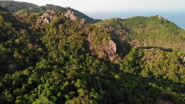 Tropik adanın ormanları ve dağları. Tayland 'ın güneşli bir gününde Koh Tao Adası' nın volkanik kayalık arazisindeki yeşil ormanların ve dev kayaların insansız hava aracı görüntüsü. — Stok video