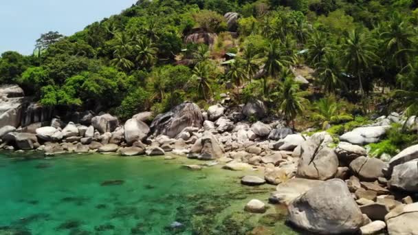 Palmeras tropicales y piedras en una pequeña playa. Muchas palmeras verdes exóticas que crecen en la costa rocosa cerca del mar azul tranquilo en la bahía de Hin Wong en el día soleado en Tailandia. Koh Tao isla paraíso exótico. — Vídeos de Stock