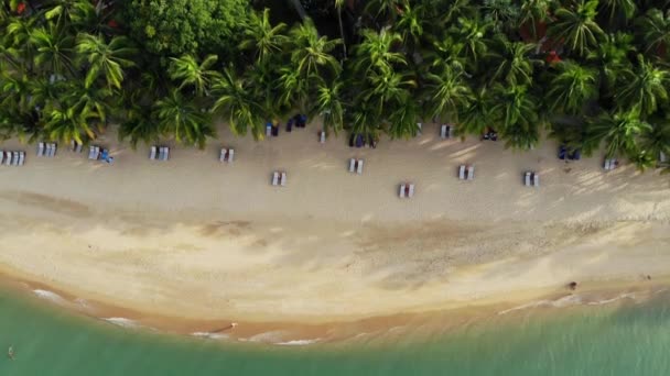 Laguna blu e spiaggia sabbiosa con palme. Veduta aerea della laguna blu e lettini sulla spiaggia sabbiosa con palme da cocco e bungalow sul tetto. — Video Stock