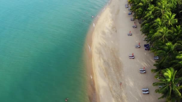 Lagune bleue et plage de sable avec palmiers. Vue aérienne du lagon bleu et des chaises longues sur la plage de sable avec cocotiers et bungalows sur le toit. — Video