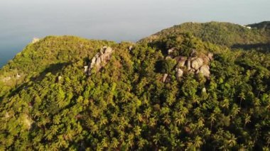 Tropik adanın ormanları ve dağları. Tayland 'ın güneşli bir gününde Koh Tao Adası' nın volkanik kayalık arazisindeki yeşil ormanların ve dev kayaların insansız hava aracı görüntüsü.