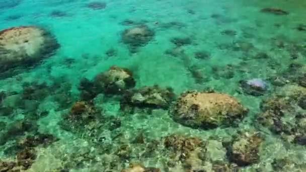 Taşların yanındaki sakin deniz suyu. Güneşli Tayland 'da güneşli bir günde Koh Tao Adası' nda şnorkelle yüzmek için mükemmel bir yer olan huzurlu mavi deniz suyu ve gri kayalar. Doğal arkaplan dokusu. — Stok video