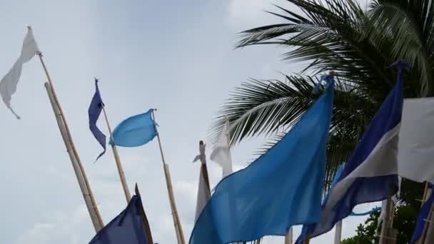 Niebieskie flagi powiewające na wietrze. Małe trójkątne niebieskie flagi trzepotające na wietrze w pochmurną pogodę na tropikalnej plaży — Wideo stockowe