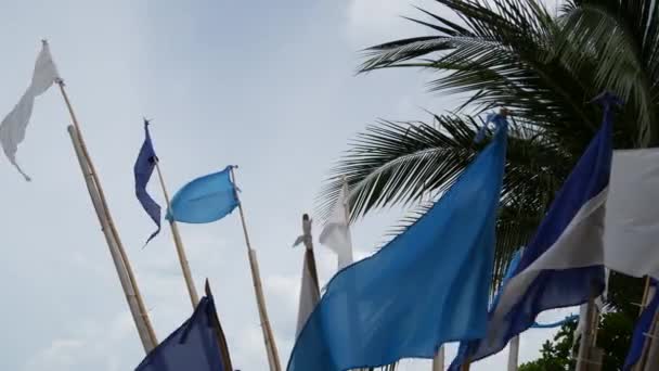 Blauwe vlaggen wapperen in de wind. Kleine driehoekige blauwe vlaggen wapperen in de wind bij bewolkt weer op tropisch strand — Stockvideo