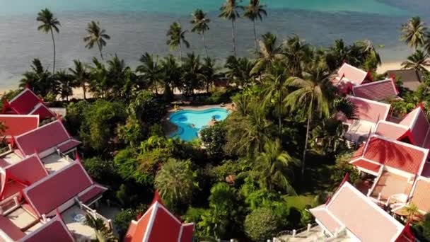 Maisons orientales au bord de la mer. Vue de drone de charmants chalets orientaux et cocotiers verts situés sur la côte de la mer calme par une journée ensoleillée sur la station balnéaire — Video