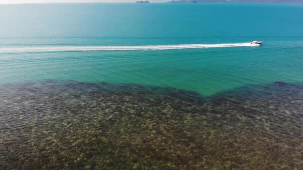 Casas orientales en la orilla del mar. Drone vista de encantadoras cabañas orientales y cocoteros verdes ubicados en la costa de mar tranquilo en el día soleado en el complejo — Vídeo de stock