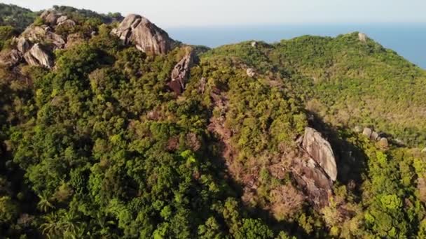 Giungle e montagne dell'isola tropicale. Drone vista di giungle verdi e enormi massi su terreni rocciosi vulcanici dell'isola di Koh Tao nella giornata di sole in Thailandia — Video Stock