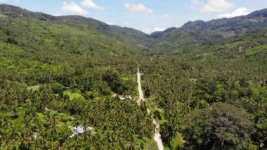 Hindistan cevizi tarlasında yol. Yol Tayland Koh Samui Adası'nda güneşli bir günde hindistan cevizi avuç içi geçiyor. Cennet dağlar manzara Drone görünümü. Yeşillikte uçuyor. Ormansızlaşma.