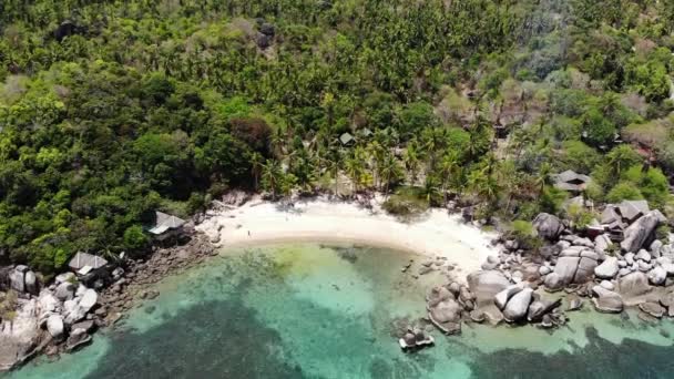 Bungalows och gröna kokospalmer på tropisk strand. Stugor på sandstrand av dykning och snorkling resort på Koh Tao paradisön nära lugnt blått hav på solig dag i Thailand. Drönarvy. — Stockvideo