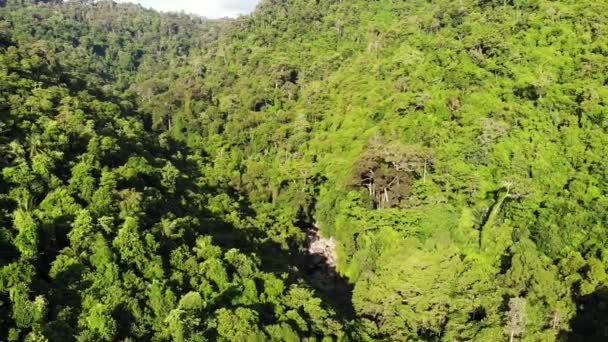 Giungla verde sulle colline. Alberi tropicali che crescono su terreni collinari sull'isola di Koh Samui. Strada per cascata tra le montagne drone vista. Paesaggio della foresta pluviale in Asia. Concetto di conservazione ambientale — Video Stock