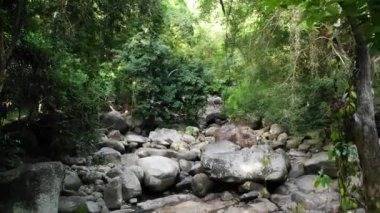 Yağmur ormanları ve taşlı nehirlerin büyüleyici manzarası. Vahşi bitki örtüsü, derin tropikal orman. Kayalık akıntıların üzerinde ağaçlarla dolu bir orman. Taştan şelaleli buhar egzotik orman insansız hava aracı görüşünde akıyor.