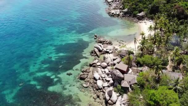 Bungalows och gröna kokospalmer på tropisk strand. Stugor på sandstrand av dykning och snorkling resort på Koh Tao paradisön nära lugnt blått hav på solig dag i Thailand. Drönarvy. — Stockvideo