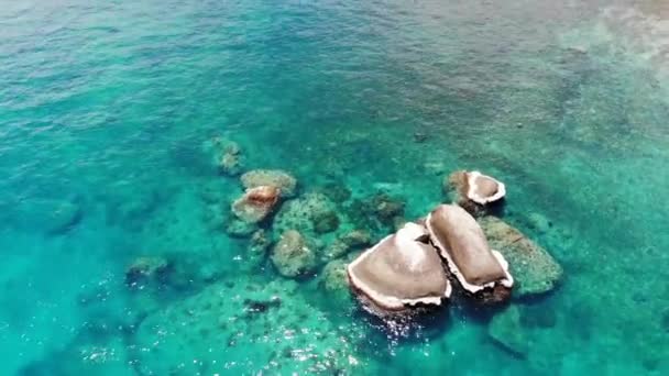 Bungalows och gröna kokospalmer på tropisk strand. Stugor på sandstrand av dykning och snorkling resort på Koh Tao paradisön nära lugnt blått hav på solig dag i Thailand. Drönarvy. — Stockvideo