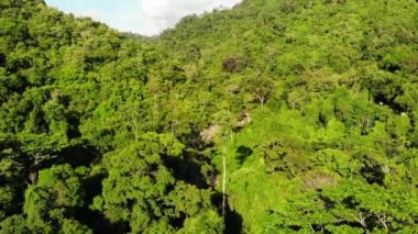 Tepelerdeki yeşil orman. Koh Samui Adası'nda engebeli arazide yetişen tropikal ağaçlar. Dağlar arasında şelale yolu drone görünümü. Asya'da yağmur ormanları manzarası. Çevre koruma kavramı