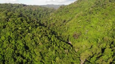 Tepelerdeki yeşil orman. Koh Samui Adası'nda engebeli arazide yetişen tropikal ağaçlar. Dağlar arasında şelale yolu drone görünümü. Asya'da yağmur ormanları manzarası. Çevre koruma kavramı
