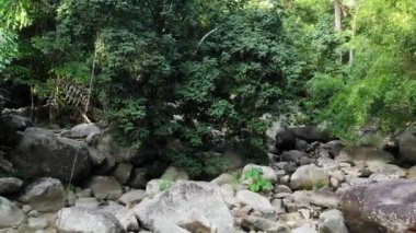 Yağmur ormanları ve taşlı nehirlerin büyüleyici manzarası. Vahşi bitki örtüsü, derin tropikal orman. Kayalık akıntıların üzerinde ağaçlarla dolu bir orman. Taştan şelaleli buhar egzotik orman insansız hava aracı görüşünde akıyor.