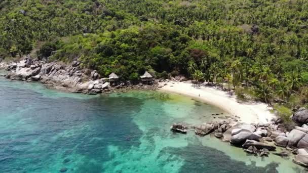 Bungalows en groene kokospalmen op tropisch strand. Huisjes op zandstrand van duiken en snorkelen resort op Koh Tao paradijs eiland in de buurt van rustige blauwe zee op zonnige dag in Thailand. Drone aanzicht. — Stockvideo