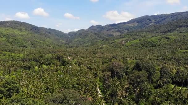 Caminho através da plantação de coco. Estrada passando por coqueiros no dia ensolarado na Ilha Koh Samui, na Tailândia. Vista drone da paisagem das montanhas paradisíacas. A voar pela vegetação. Desflorestação . — Vídeo de Stock