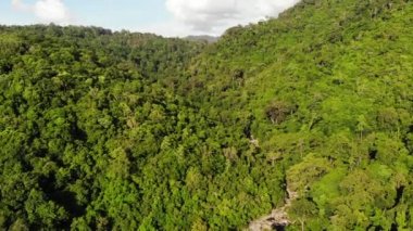 Tepelerdeki yeşil orman. Koh Samui Adası'nda engebeli arazide yetişen tropikal ağaçlar. Dağlar arasında şelale yolu drone görünümü. Asya'da yağmur ormanları manzarası. Çevre koruma kavramı