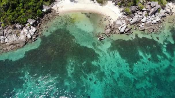 Bungalows e coqueiros verdes na praia tropical. Cottages na costa arenosa de mergulho e snorkeling resort em Koh Tao ilha paradisíaca perto do mar azul calmo no dia ensolarado na Tailândia. Vista para drones. — Vídeo de Stock