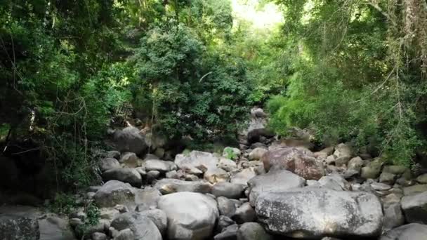 Magisch landschap van regenwoud en rivier met rotsen. Wilde vegetatie, diep tropisch bos. Jungle met bomen over rotsachtige stroomversnellingen. Stoom met stenen watervallen stroomt door exotische bossen drone uitzicht — Stockvideo