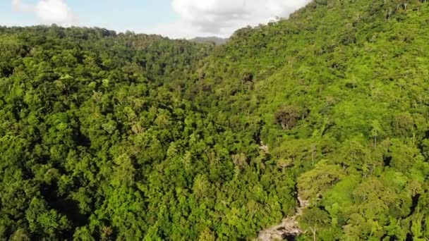 Groene jungle op heuvels. Tropische bomen die groeien op heuvelachtig terrein op het eiland Koh Samui. Weg naar de waterval tussen de bergen drone uitzicht. Regenwoud landschap in Azië. Milieu conservatie concept — Stockvideo