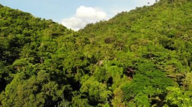 Tepelerdeki yeşil orman. Koh Samui Adası'nda engebeli arazide yetişen tropikal ağaçlar. Dağlar arasında şelale yolu drone görünümü. Asya'da yağmur ormanları manzarası. Çevre koruma kavramı