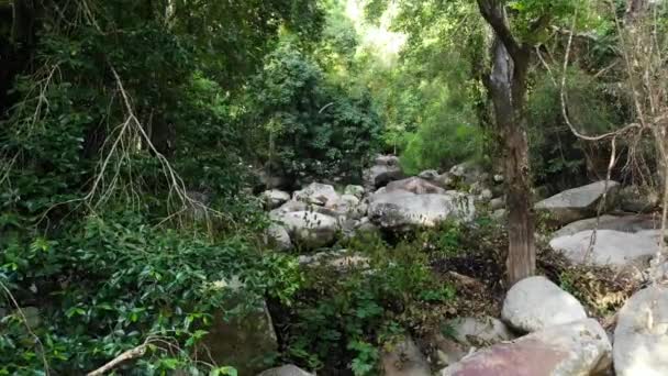 岩と熱帯雨林や川の魔法の風景。野生植物、深い熱帯林。岩の急流の上の木とジャングル。石のカスケードと蒸気はエキゾチックな森のドローンビューを流れます — ストック動画