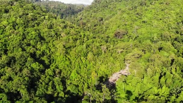 Grön djungel på kullar. Tropiska träd växer på kuperad terräng på Koh Samui Island. Väg till vattenfall mellan bergen Drone View. Regnskogs landskap i Asien. Miljö vårds koncept — Stockvideo