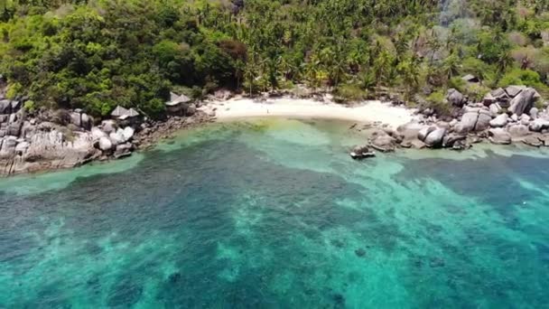 Bungalow e palme da cocco verdi sulla spiaggia tropicale. Cottages sulla riva sabbiosa di immersioni e snorkeling resort sull'isola paradiso Koh Tao vicino al mare blu calmo nella giornata di sole in Thailandia. Vista drone. — Video Stock