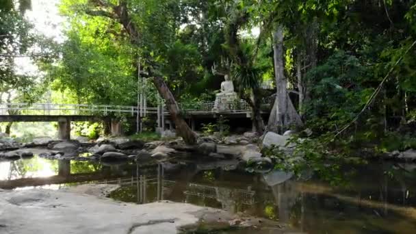 Estátua de Buda branco perto do templo perto do rio fora do templo tradicional na selva verde do parque nacional Hin Lad na ilha Koh Samui. Flare da lente, raios do sol através do verde — Vídeo de Stock