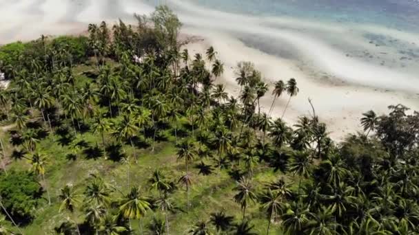 Uvanlig kyst av hvit sand. Forbløffende landskap med sandfylte bølgete hav. Paradisøyer i Asia. Droneutsikt, naturlig idyllisk scene, kokospalmer på stranden. Tordenvær i tropene. – stockvideo