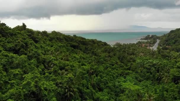 Bedeckter Himmel über der tropischen Insel. Grauer bewölkter Himmel, grüne Palmen auf Koh Samui während der Regenzeit in Thailand. Drohnenblick. Flug über wilden Regenwald und Dschungel in der Nähe des paradiesischen Ozeanstrandes. Sturm in Asien — Stockvideo
