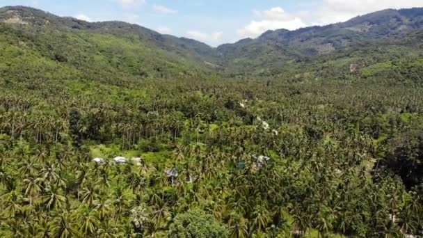 Weg durch Kokosnussplantagen. Straße durch Kokospalmen an einem sonnigen Tag auf der Insel Koh Samui in Thailand. Drohnen-Blick auf paradiesische Berglandschaft. fliegen durch das Grün. Entwaldung. — Stockvideo
