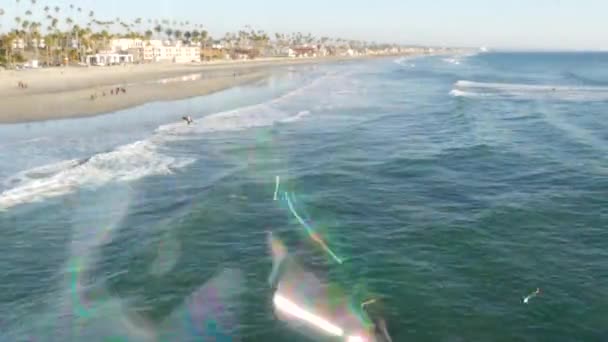 Bulles de savon soufflant sur la jetée de l'océan en Californie, fond d'été flou. Métaphore romantique créative, concept de rêve de bonheur et de magie. Symbole abstrait de l'enfance, fantaisie, liberté — Video