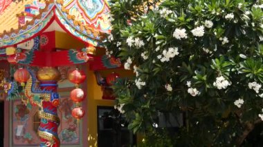 Geleneksel oryantal taocu Çin manastırı çatı detayları, şenlikli ejderha dekorasyonu. Klasik Asya dini çok renkli türbe ya da Plumeria Frangipani çiçeklerinin açtığı pagoda.