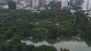 Metropolitan City 'deki yeşil park. Bangkok, Tayland sokaklarındaki Lumphini Park 'ın yeşil ağaçlarının ve yüksek binaların insansız hava aracı görüntüsü