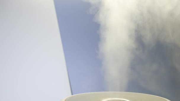 Vapor blanco de humidificador ultrasónico. Fruto de vapor del difusor para hidratar el aire. Bucle de vídeo interminable de humo para la humedad en casa. Hidratante y purificador de aire. Niebla difusa del inhalador — Vídeo de stock