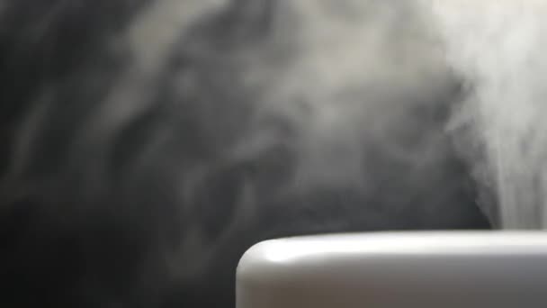 White steam of ultrasonic humidifier. Frume of vapor from diffuser for air moisturize. Loop endless video of smoke for humidity at home. Moisturizer and purifier of air. Diffused mist from inhaler — Stock Video