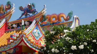 Geleneksel oryantal taocu Çin manastırı çatı detayları, şenlikli ejderha dekorasyonu. Klasik Asya dini çok renkli türbe ya da Plumeria Frangipani çiçeklerinin açtığı pagoda.