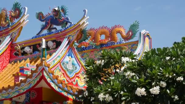 Monastère chinois taoïste traditionnel détails du toit du temple, décoration festive dragon. Sanctuaire ou pagode multicolore religieuse asiatique classique en fleurs de plumeria frangipani le jour ensoleillé — Video
