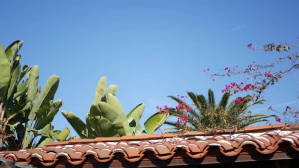 Meksika sömürgesi tarzı banliyö, İspanyol evi dışı, yeşil yemyeşil yemyeşil bahçe, San Diego, Kaliforniya ABD. Akdeniz terasotta seramik kil kiremit çatıda. Kırsal ispanyolca döşeli çatı. Kırsal ayrıntı