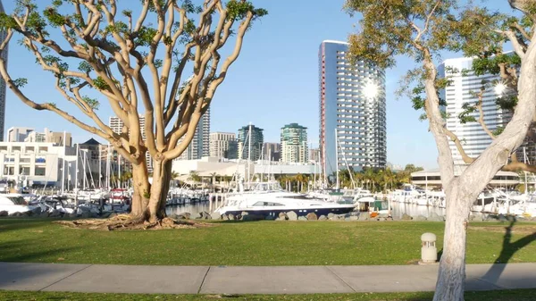Embarcadero marina parkı, USS Midway ve Convention Center yakınlarındaki büyük mercan ağaçları, Seaport Village, San Diego, California USA. Lüks yatlar ve oteller, metropol şehir silueti ve yükselen gökdelenler.