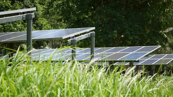 Solar panels over grass on sunny day. Row of alternative power plants on lawn producing ecological energy. Conservation of the environment and go green concept. Modern technologies and innovations