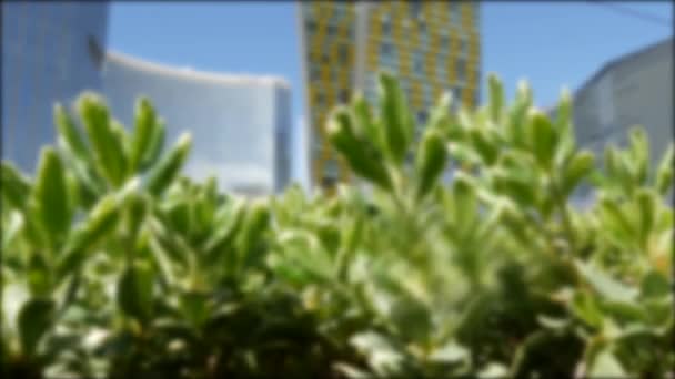 Desenfocado Las Vegas futurista CityCenter casino complejo en el centro de la ciudad. Modernos hoteles de lujo sin incorporar skyline urbano, Harmon ave, EE.UU. Rascacielos de gran altura premium metrópolis contemporánea — Vídeo de stock