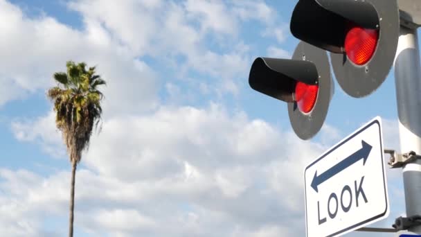 Señal de advertencia de cruce de nivel en EE.UU. Aviso cruzado y semáforo rojo en la intersección de carreteras ferroviarias en California. Transporte ferroviario símbolo de seguridad. Señal de precaución sobre el peligro y la vía del tren — Vídeo de stock