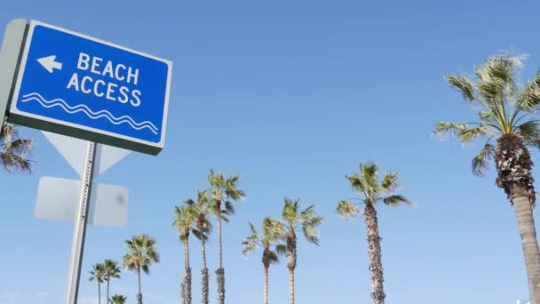 Strand teken en palmen in het zonnige Californië, Verenigde Staten. Palmbomen en wegwijzer aan zee. Oceanside Pacific toeristische resort esthetisch. Symbool van reisvakanties en zomervakanties. Promenade aan het strand — Stockvideo