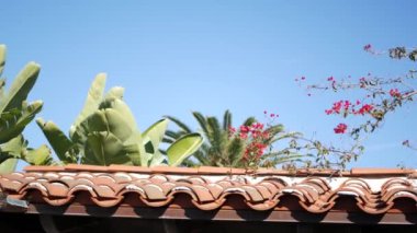 Meksika sömürgesi tarzı banliyö, İspanyol evi dışı, yeşil yemyeşil yemyeşil bahçe, San Diego, Kaliforniya ABD. Akdeniz terasotta seramik kil kiremit çatıda. Kırsal ispanyolca döşeli çatı. Kırsal ayrıntı