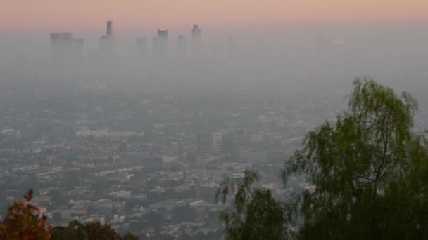 Highrise wolkenkrabbers van Metropolis in smog, Los Angeles, Californië, USA. Luchtvervuiling en mistige stedelijke skyline in het centrum. Stadsgezicht in smerige mist. Slechte zichtbaarheid in stad met milieuproblemen — Stockvideo
